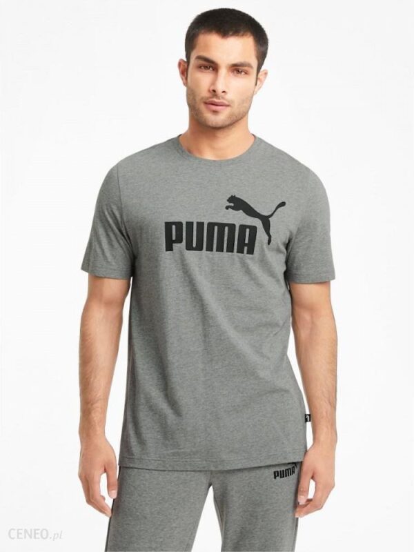 Koszulka Bawełniana Męska Puma T-Shirt Szary Melanż