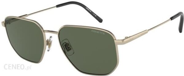 Okulary Przeciwsłoneczne Arnette AN 3086 SLING 75371