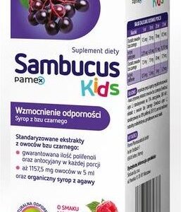 Sambucus for Kids syrop 120 ml