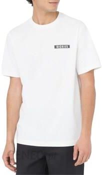 T-shirty z krótkim rękawem Dickies DK0A4Y8RWHX1